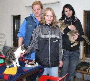 Tanja Werner und Alisa Simniok unterstützten die Tierheimleiterin Caroline Hetzel (von rechts) bei der Arbeit im Katzenhaus.